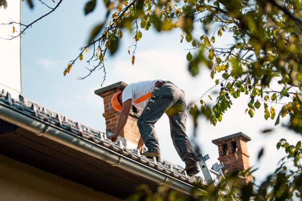 Best Roof Ventilation Installation  in Bear Rocks, PA